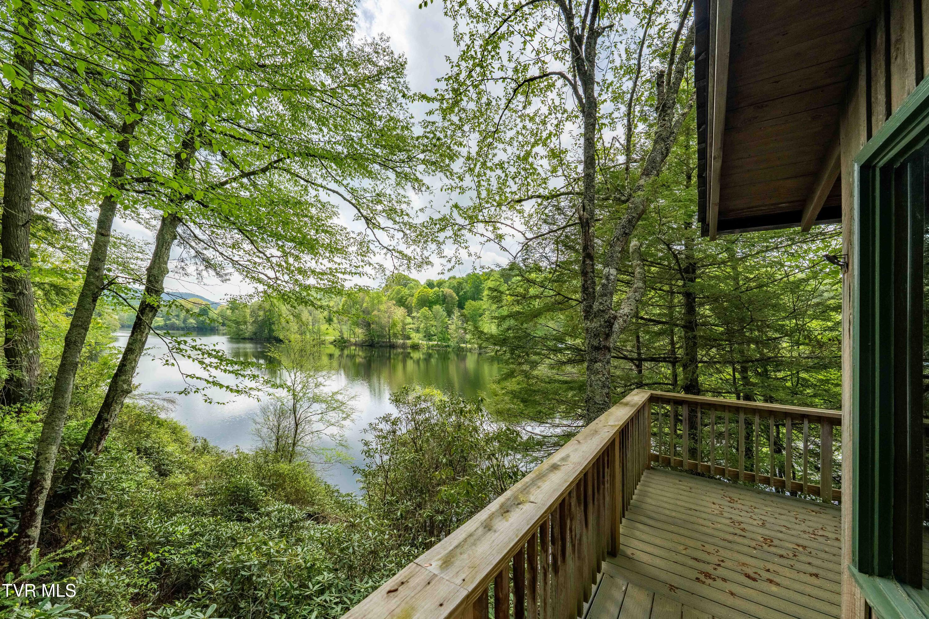 150 Ripshin Lake Road Roan Mountain, TN 37687 - Photo 31 of 35 150 Ripshin Lake (11 of 46)