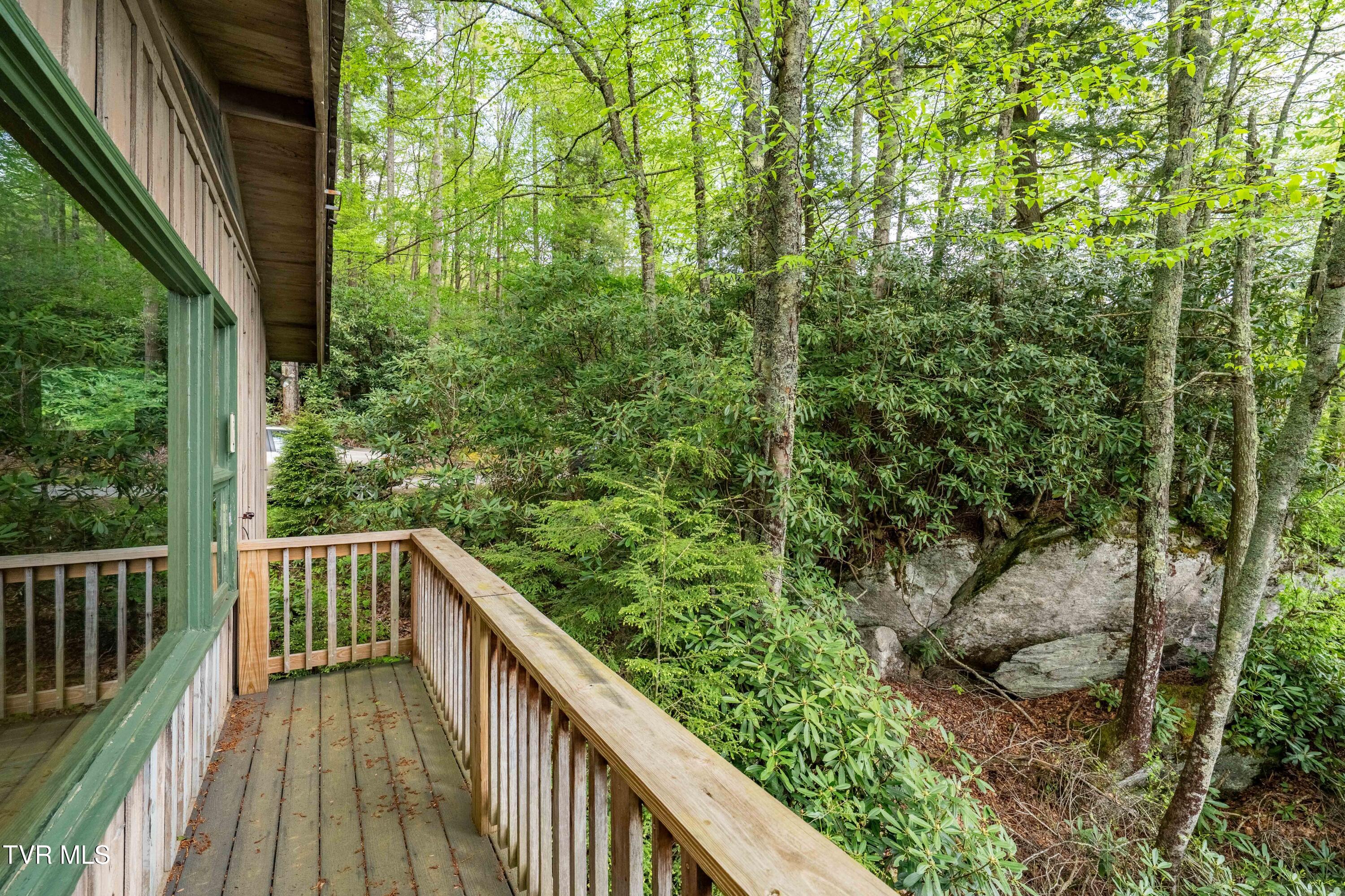 150 Ripshin Lake Road Roan Mountain, TN 37687 - Photo 33 of 35 150 Ripshin Lake (10 of 46)