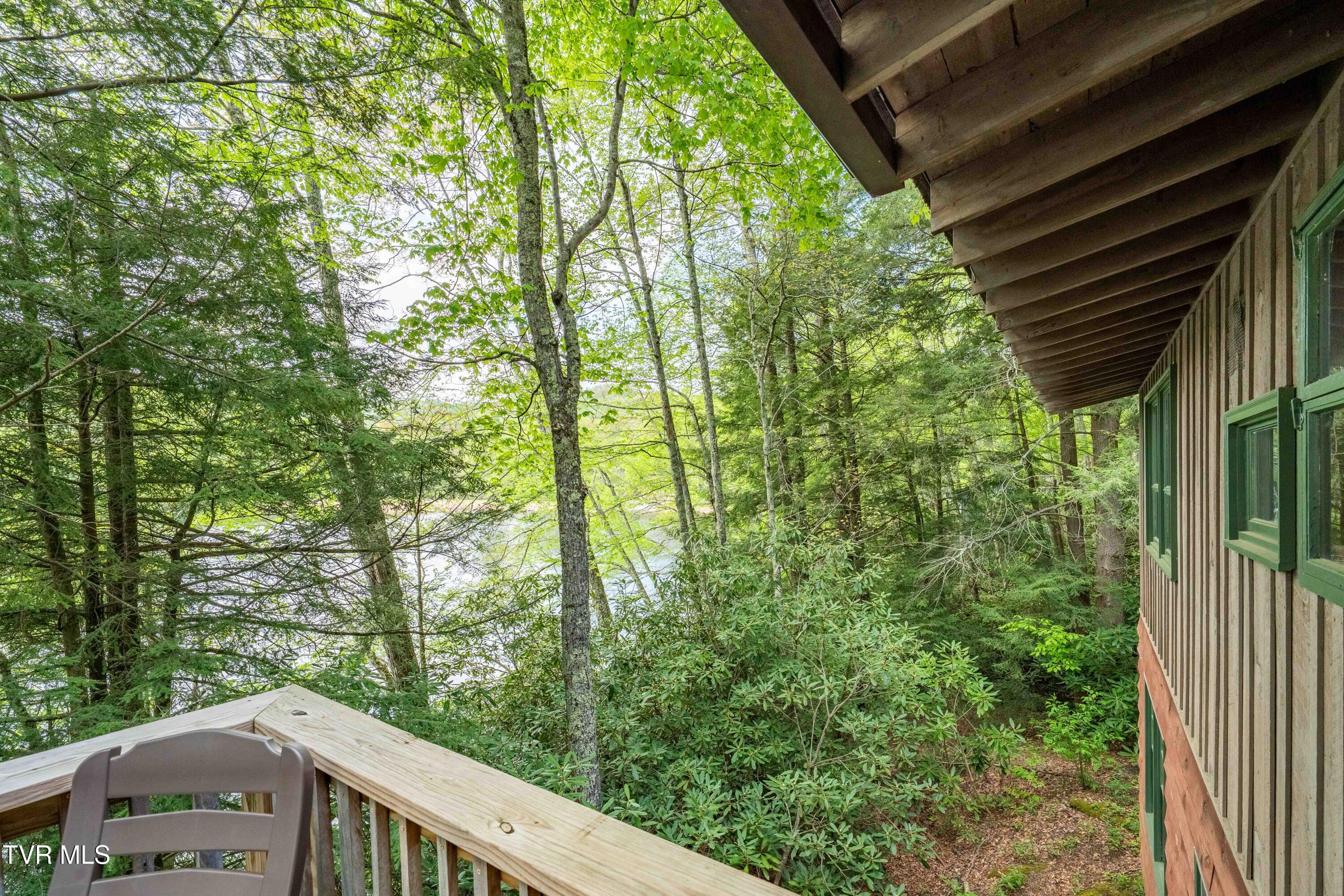 150 Ripshin Lake Road Roan Mountain, TN 37687 - Photo 34 of 35 150 Ripshin Lake (7 of 46)
