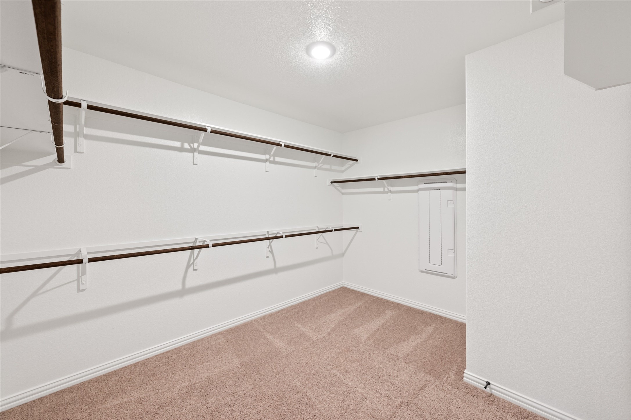 303 Fawn Riv Run Kyle, TX 78640 - Photo 19 of 32 Spacious walk-in closet featuring light beige carpeting, white walls, and built-in wood-finish hanging rods with white supports