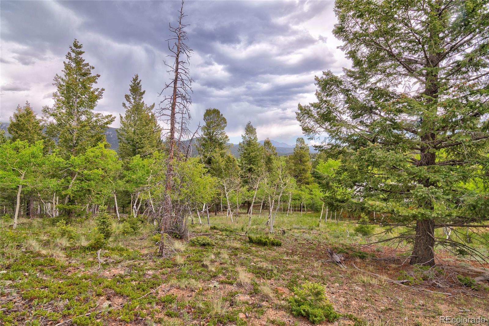 130 Summit Way Bailey, CO 80421 - Photo 22 of 25