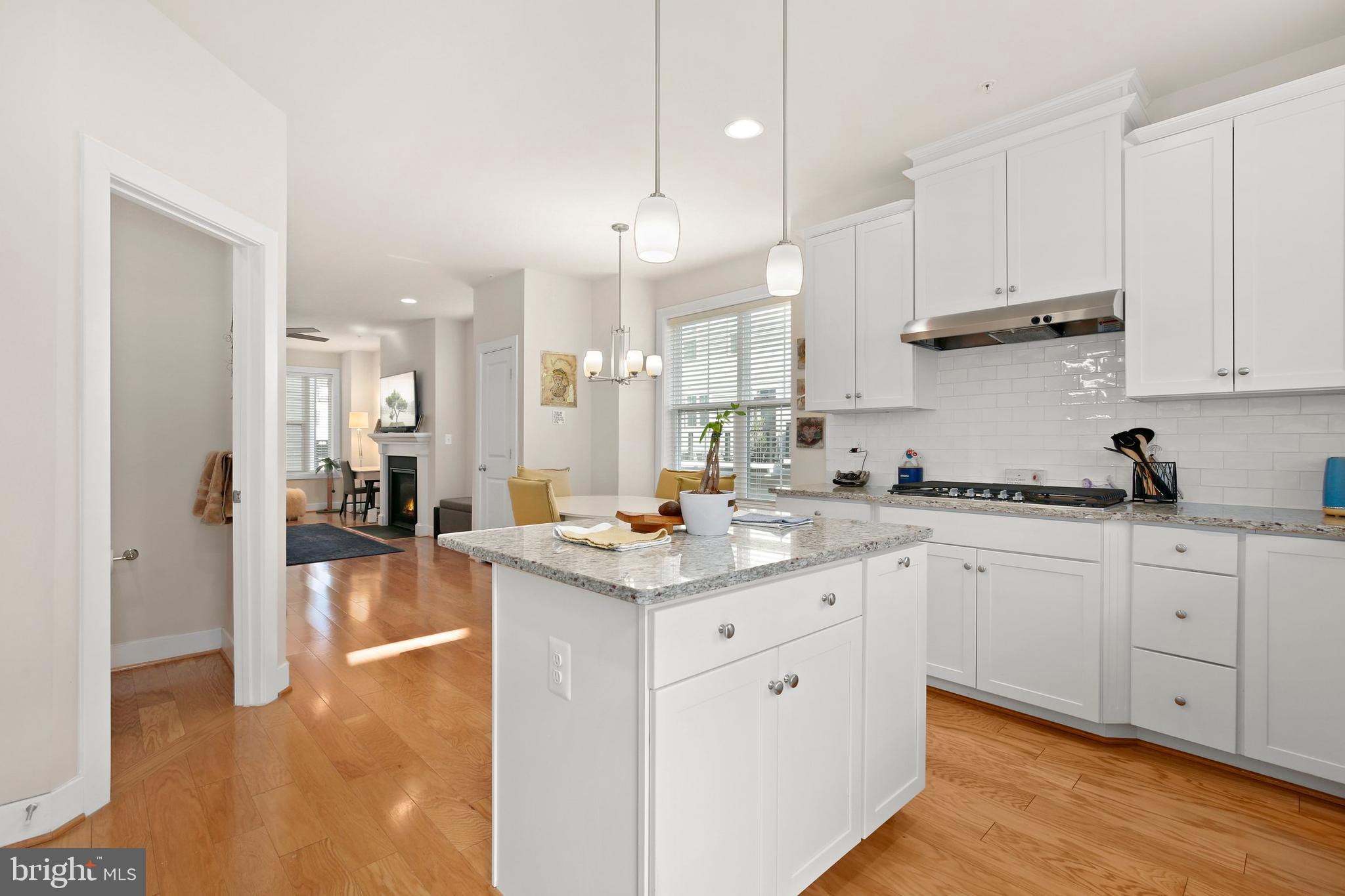 163 Kandinsky Loop Silver Spring, MD 20906 - Photo 24 of 58