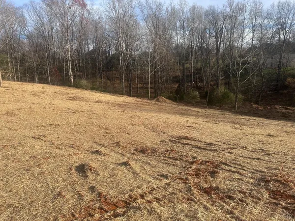 $99,900 | 9-lot Lakepointe Drive, Forest, VA 24551