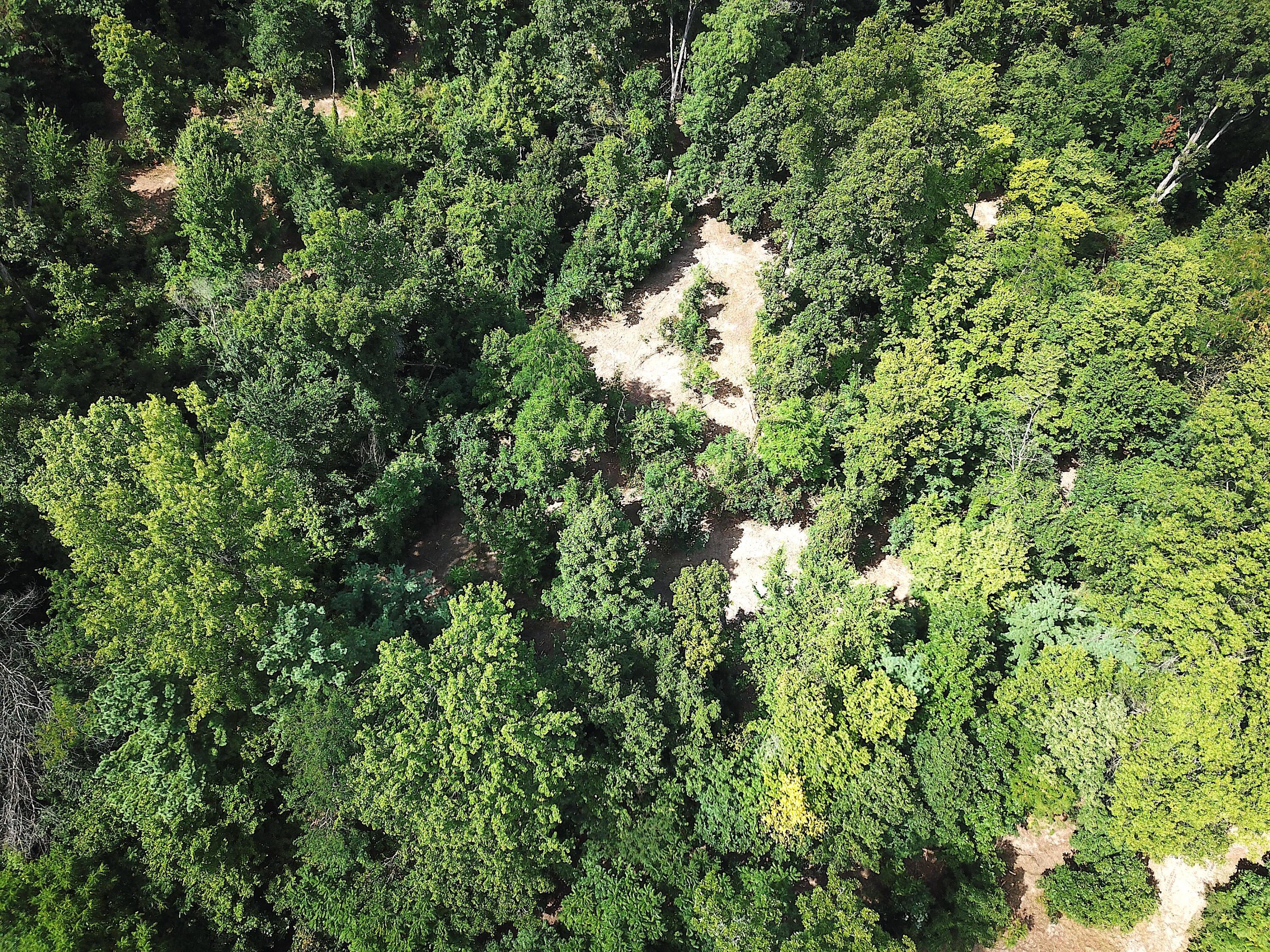 0 North Dean Road Ostrander, OH 43061 - Photo 32 of 38 DJI_0988