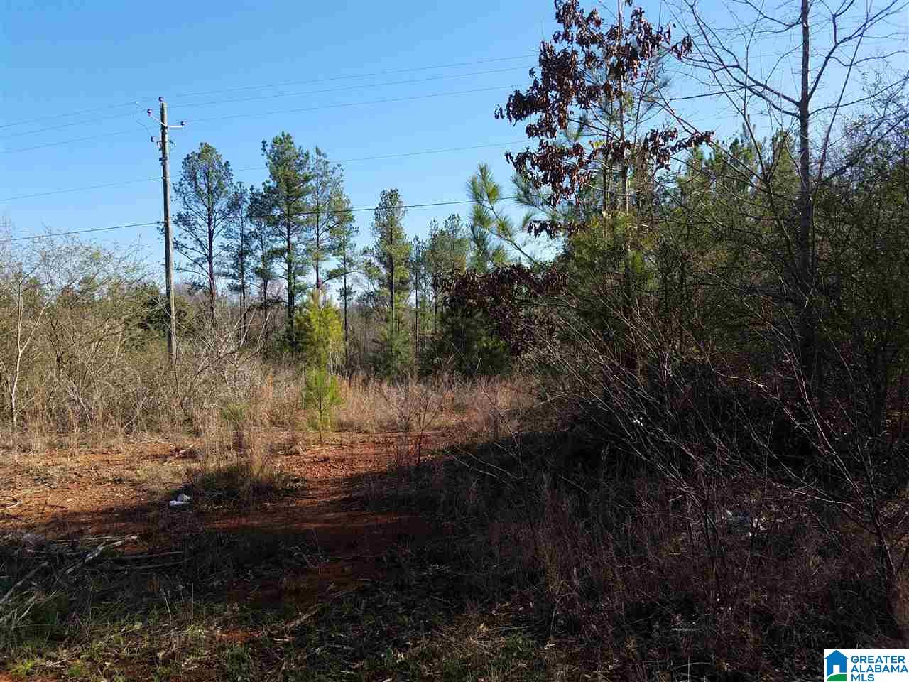 0 Cove Access Road, Unit 7 ACRES Talladega, AL 35160 - Photo 1 of 19