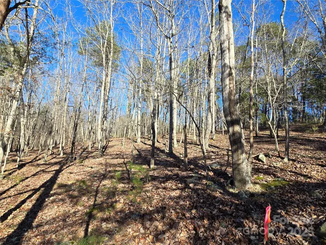 an aerial view of residential house with outdoor space and trees all around