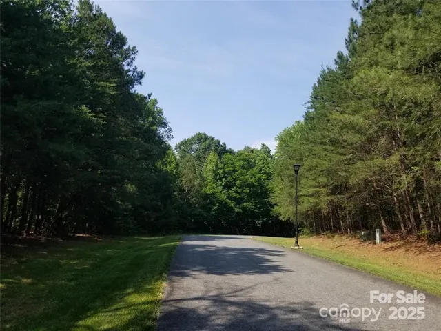 a view of a lake with a trees in the background