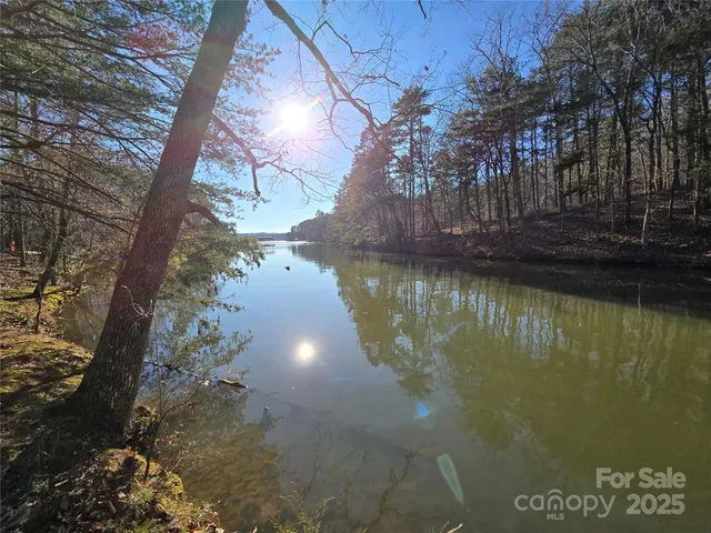 a view of a park with large trees
