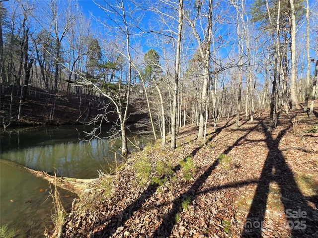 a view of swimming pool with a yard