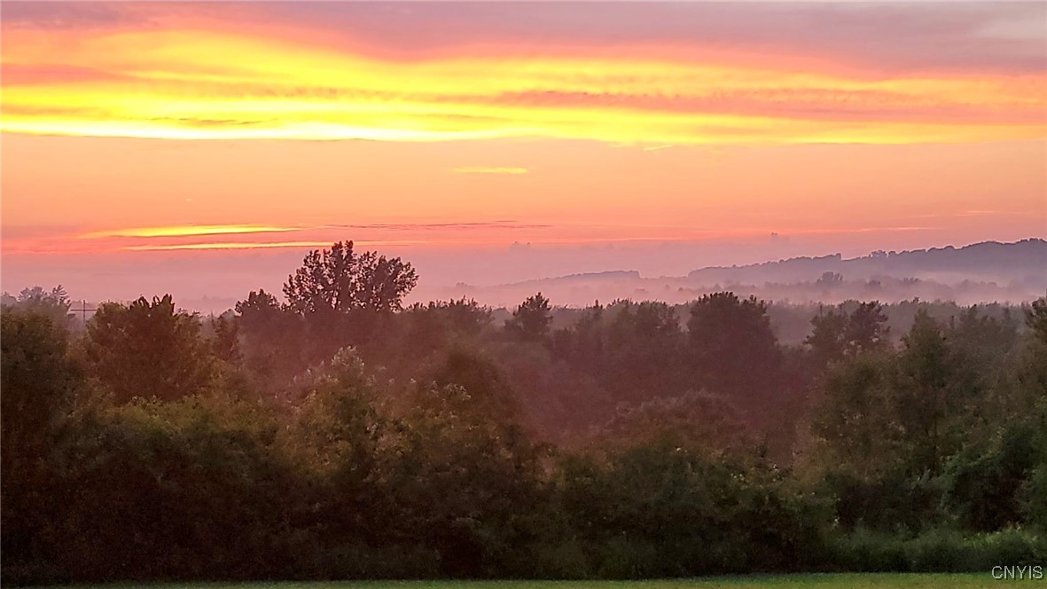 5120 Limeledge Road Elbridge, NY 13060 - Photo 50 of 50