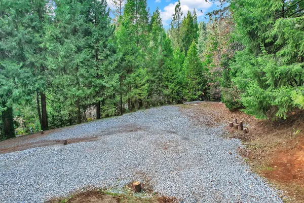 a view of a dirt road with trees in the background