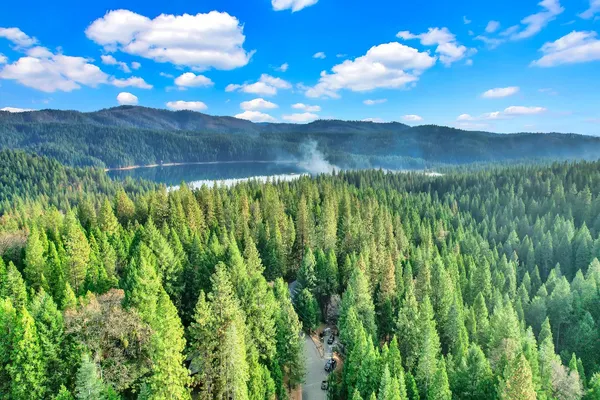 a view of a yard with an outdoor space