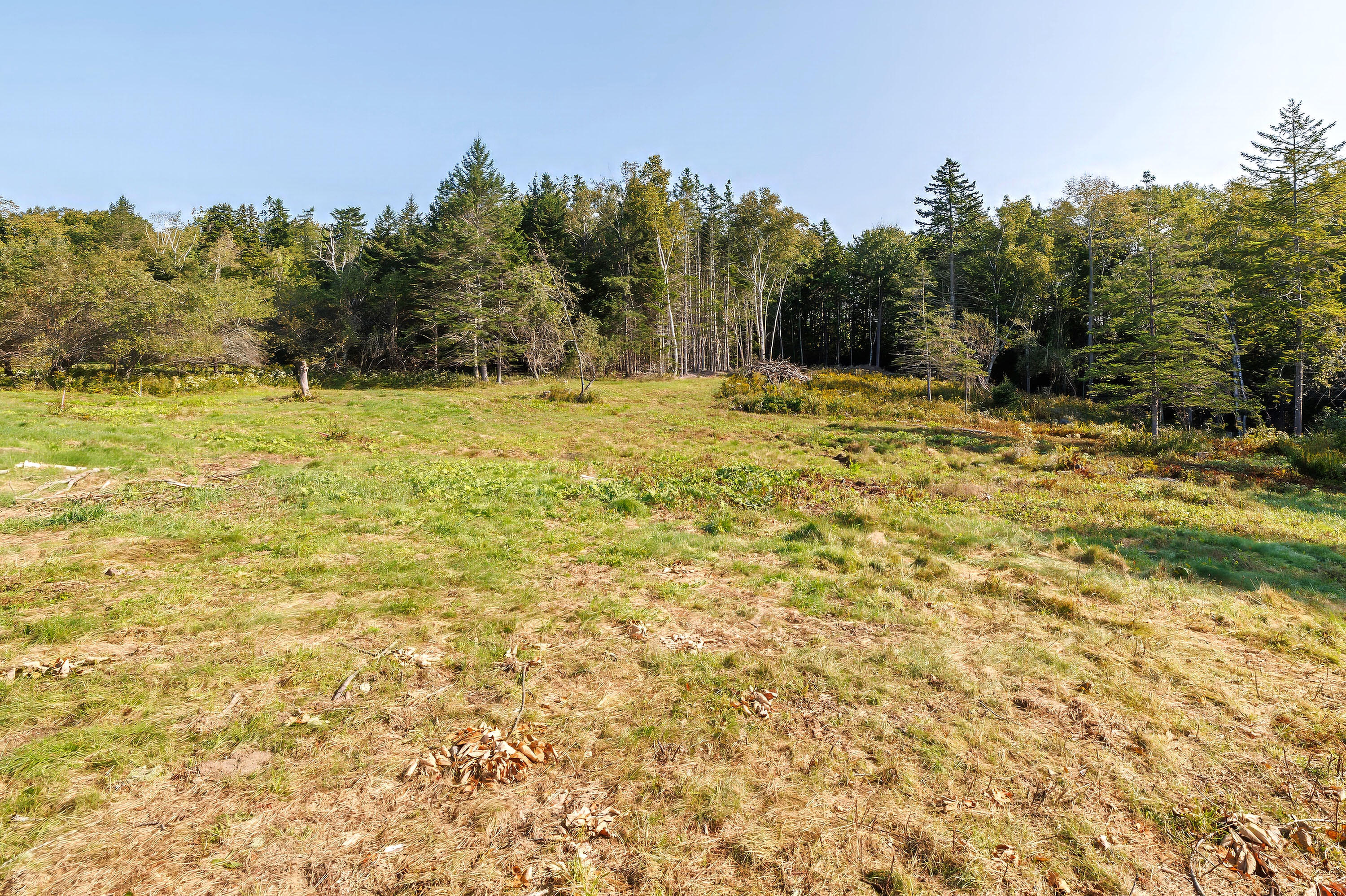 83 Reach Road Sedgwick, ME 04676 - Photo 3 of 16 77ReachRoad_002