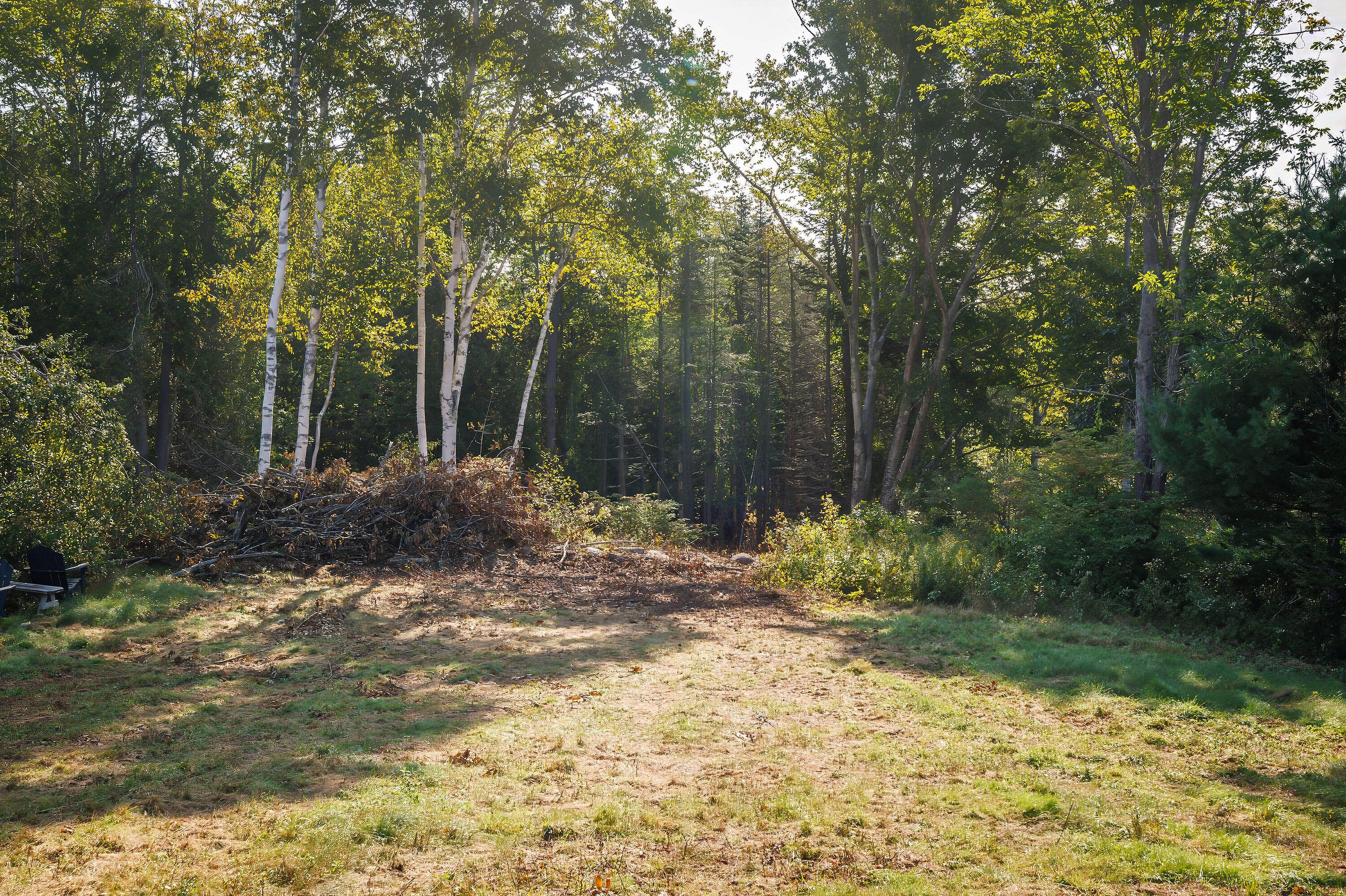 83 Reach Road Sedgwick, ME 04676 - Photo 7 of 16 77ReachRoad_006