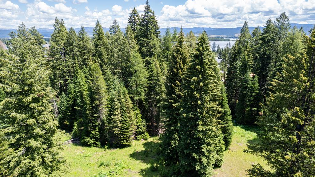 2207 Davy Road, Unit 23 Donnelly, ID 83615 - Photo 5 of 12