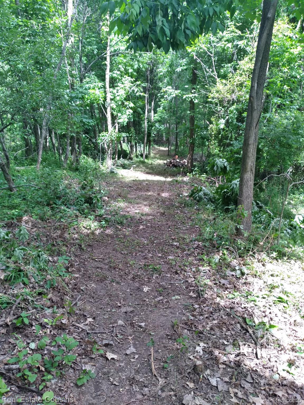 2247 Johnson Mill Road North Branch, MI 48461 - Photo 23 of 26 Wooded lot featuring a natural path, mature trees, and abundant foliage