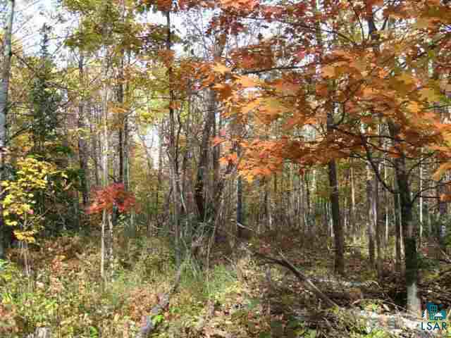12090 Touve Road Port Wing, WI 54865 - Photo 8 of 24