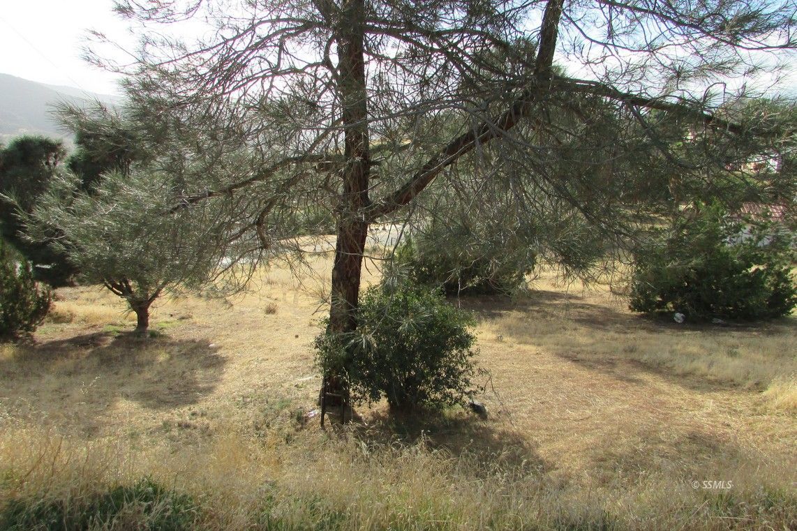 600 Piute Street Bodfish, CA 93205 - Photo 14 of 19