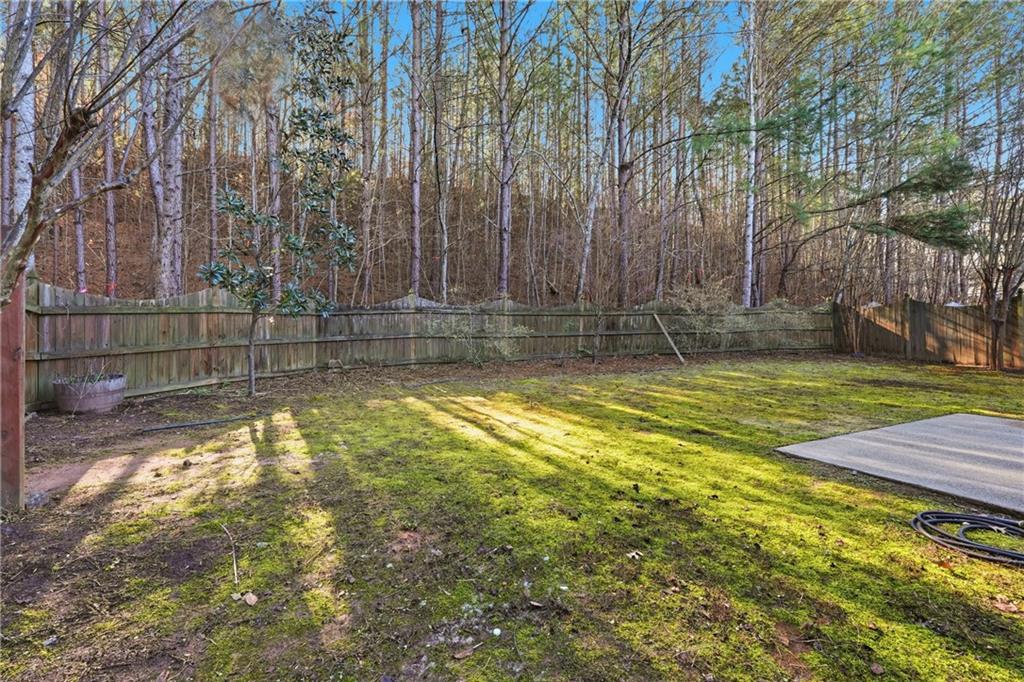 107 Hidden Lake Circle Canton, GA 30114 - Photo 25 of 28