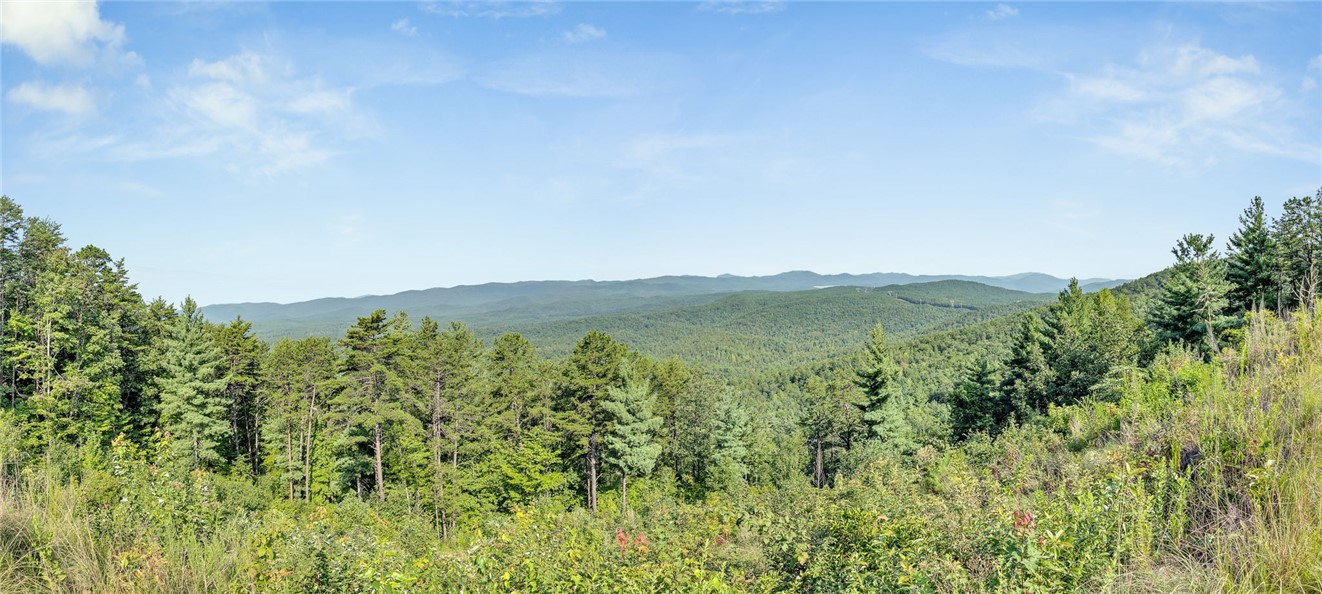 283 Jocassee Ridge Way Salem, SC 29676 - Photo 46 of 50