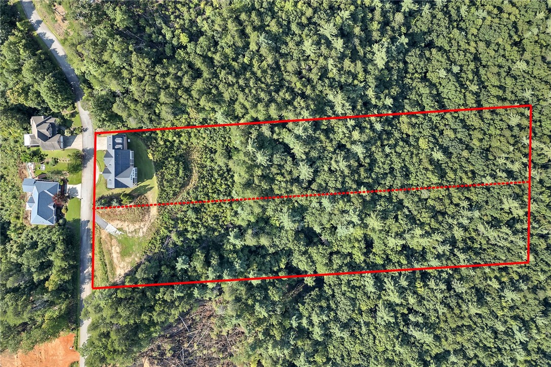 283 Jocassee Ridge Way Salem, SC 29676 - Photo 49 of 50