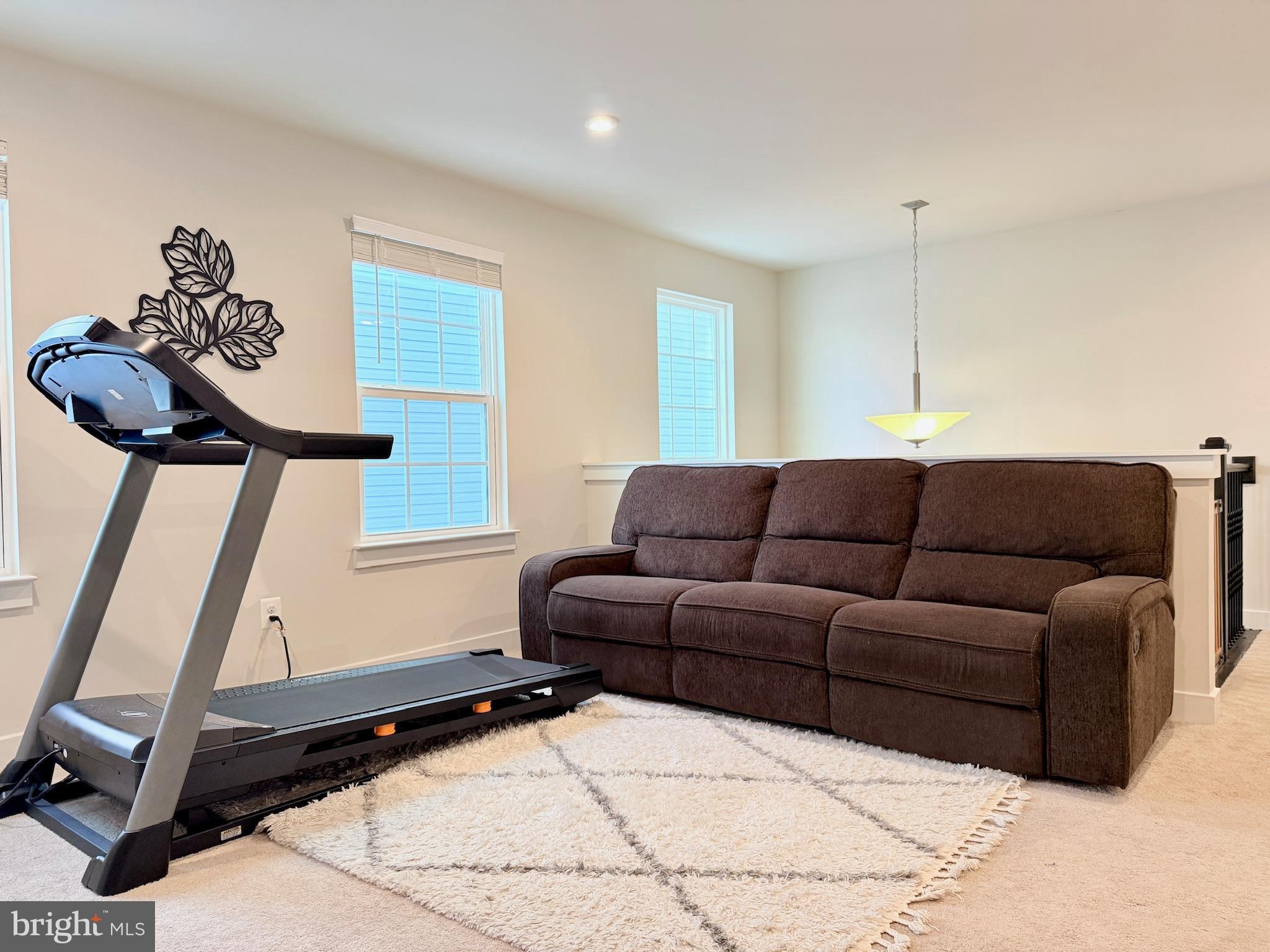 11360 Wheeler Ridge Drive Manassas, VA 20109 - Photo 18 of 32 Modern living space with fitness flair.