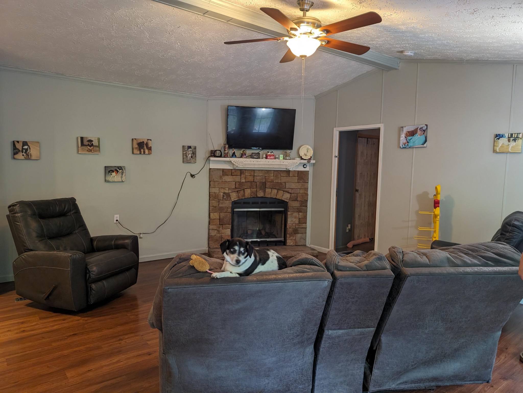 756 Blowing Cave Road Sevierville, TN 37876 - Photo 9 of 59