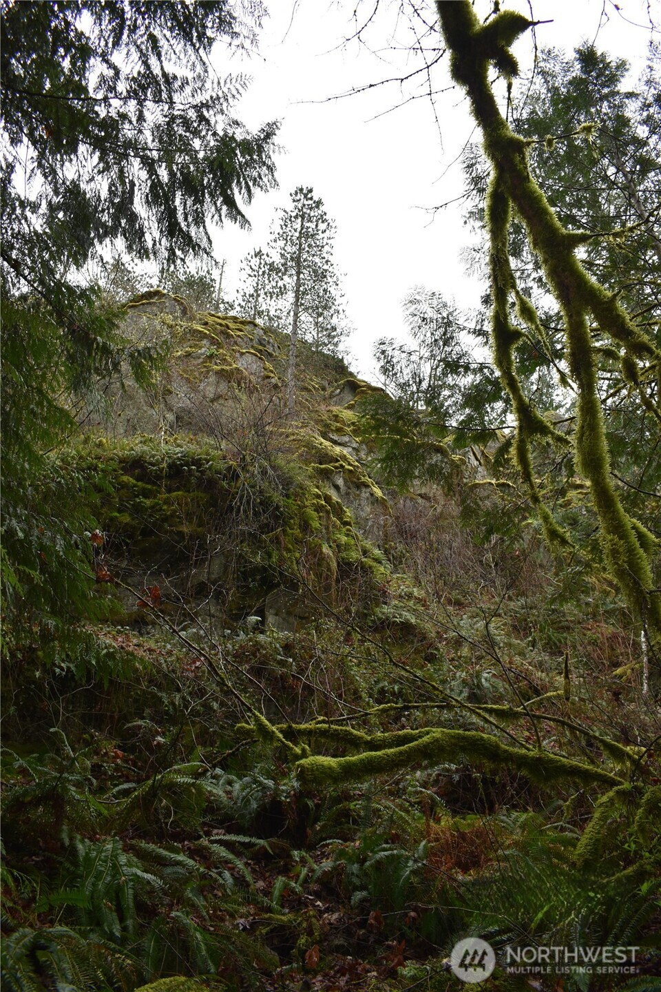 15327 May Creek Road Gold Bar, WA 98251 - Photo 6 of 35 a view of outdoor space and car parked