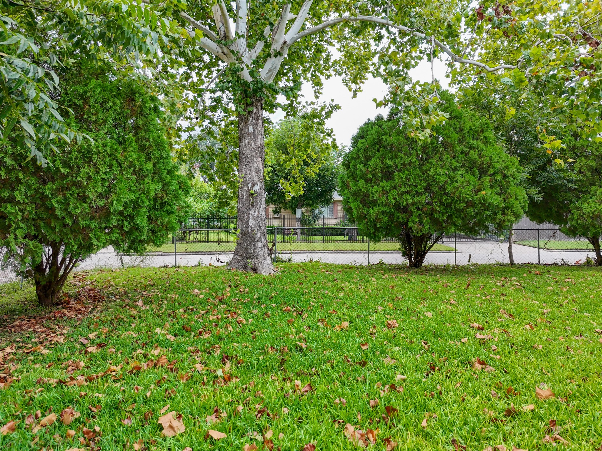 6701 Kernel Street Houston, TX 77087 - Photo 14 of 22