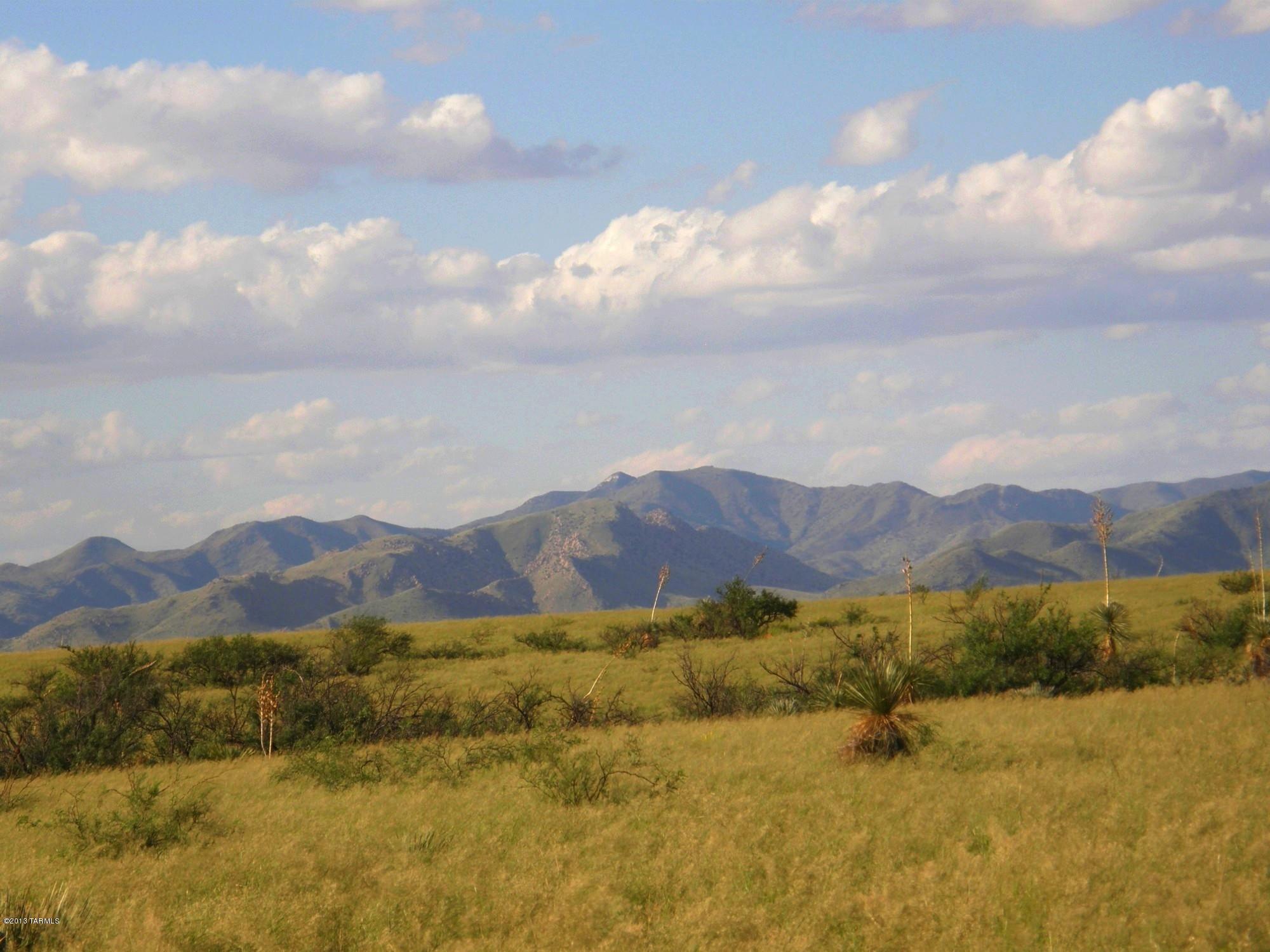 Lot 28 East Naiche Road, Unit 28 St. David, AZ 85630 - Photo 3 of 15