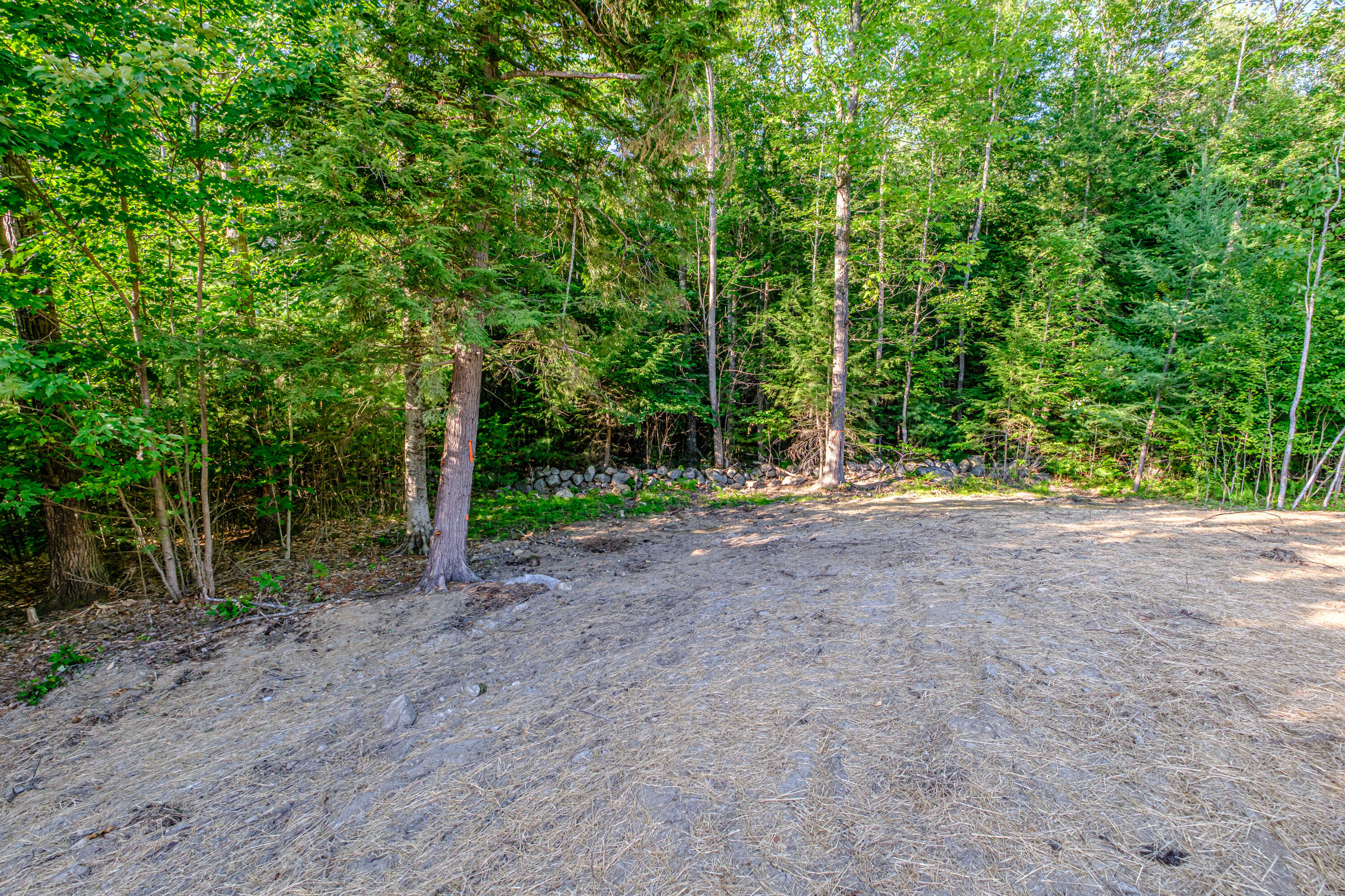 7 Norton Ridge Road Shapleigh, ME 04076 - Photo 28 of 36 20260724gp-65061