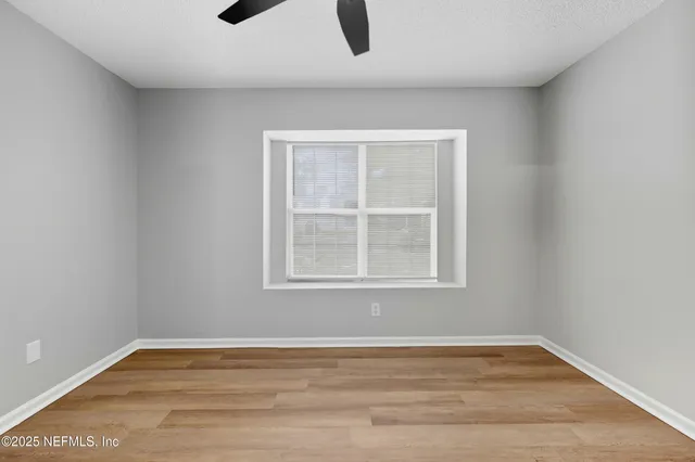 a view of a yard with plants and large trees