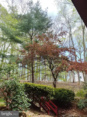 a large tree in the middle of a garden