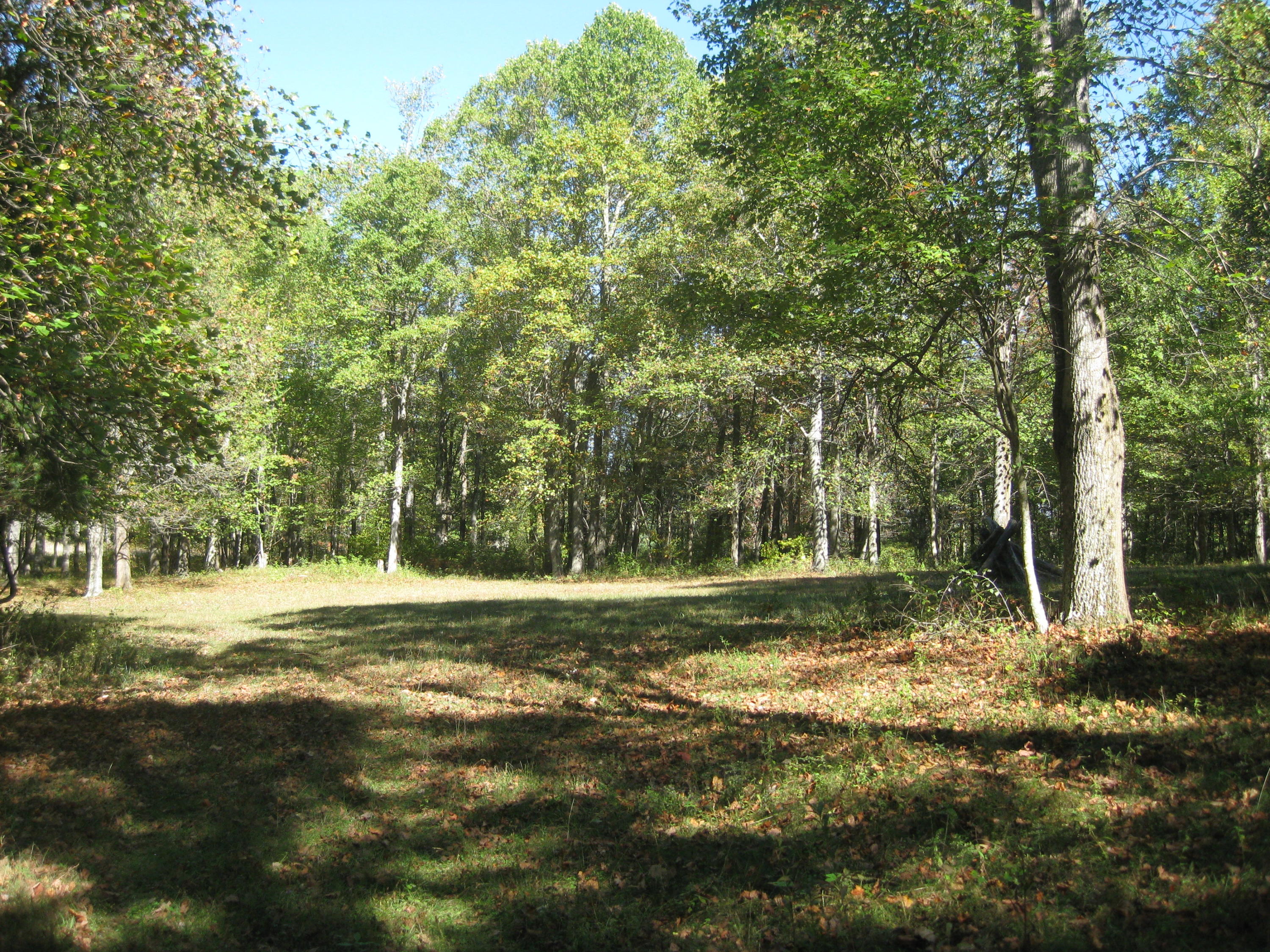 0 Poor Farm Road Southeast Floyd, VA 24091 - Photo 3 of 12 a view of a tree in the middle of a yard