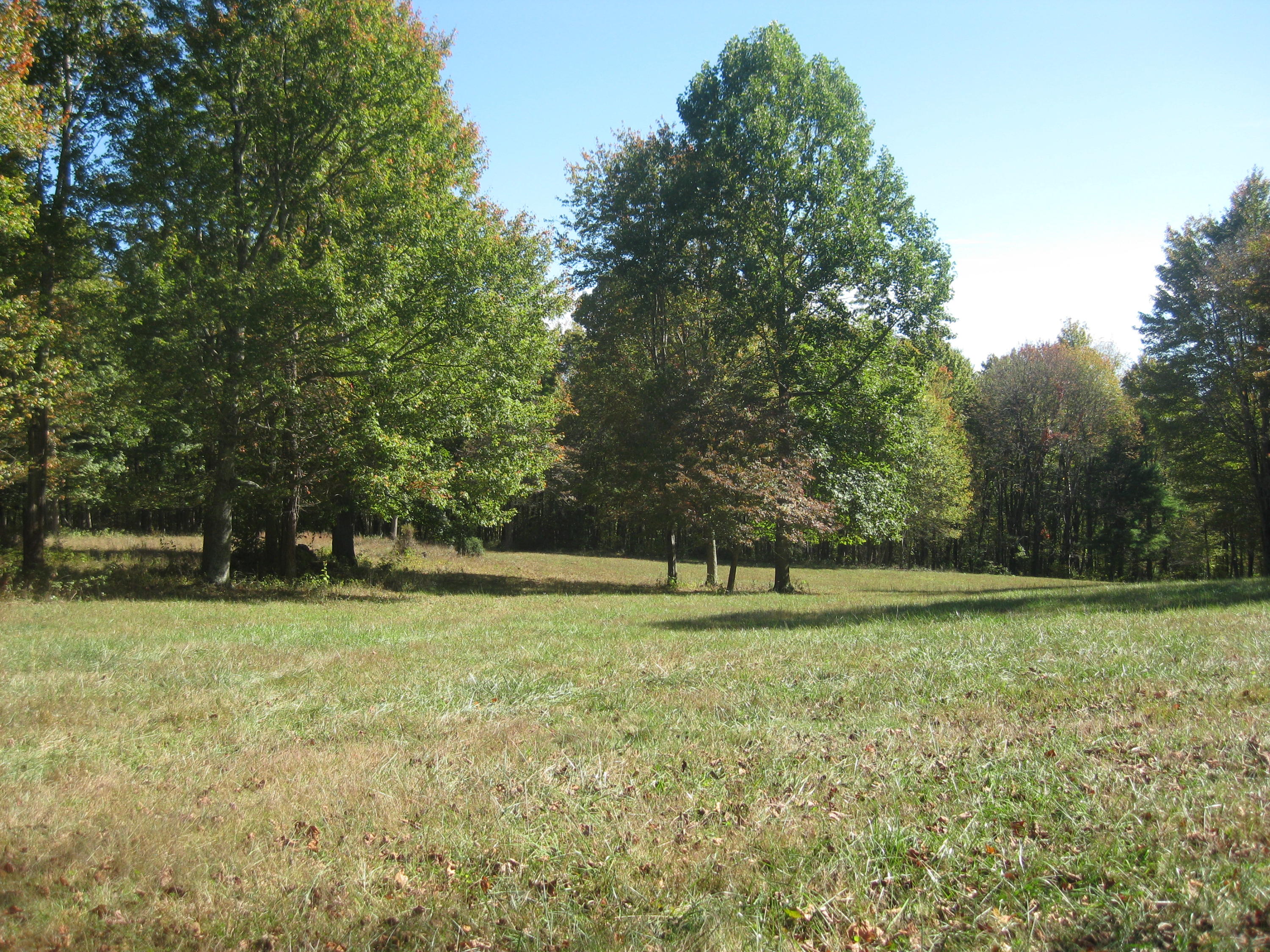 0 Poor Farm Road Southeast Floyd, VA 24091 - Photo 5 of 12 a grassy field with trees in the background