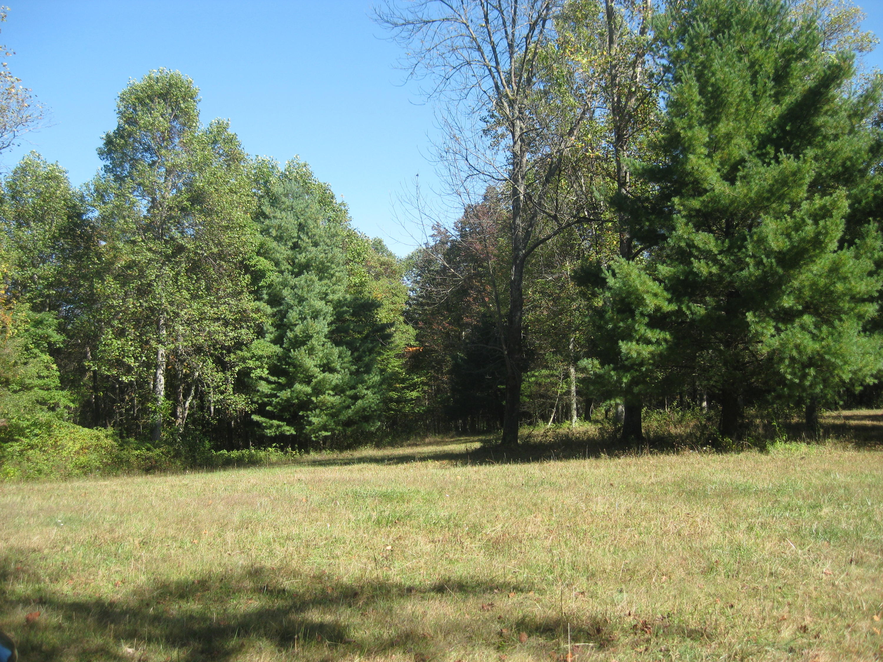 0 Poor Farm Road Southeast Floyd, VA 24091 - Photo 6 of 12 a view of outdoor space and yard