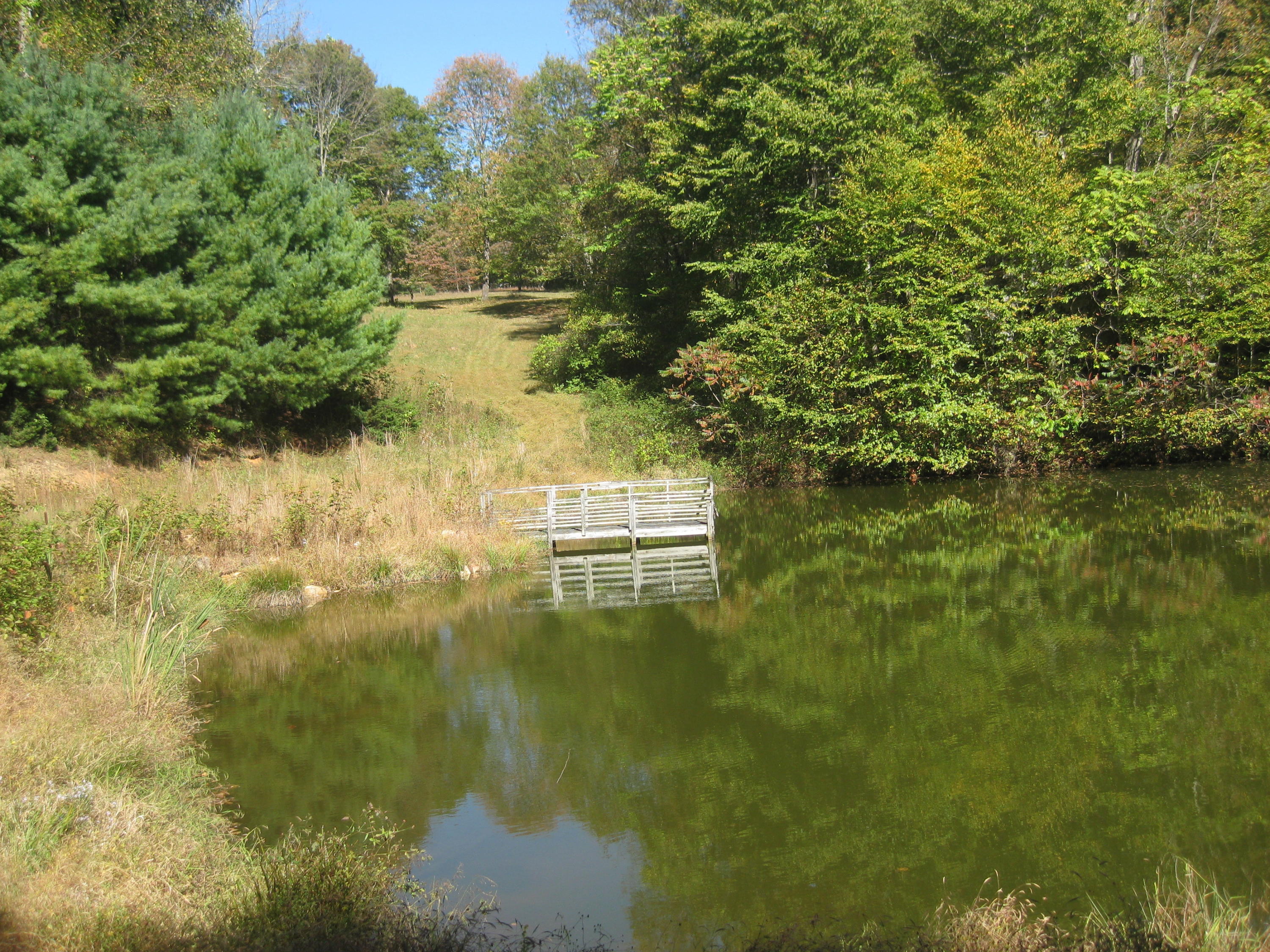 0 Poor Farm Road Southeast Floyd, VA 24091 - Photo 8 of 12 a view of a lake view