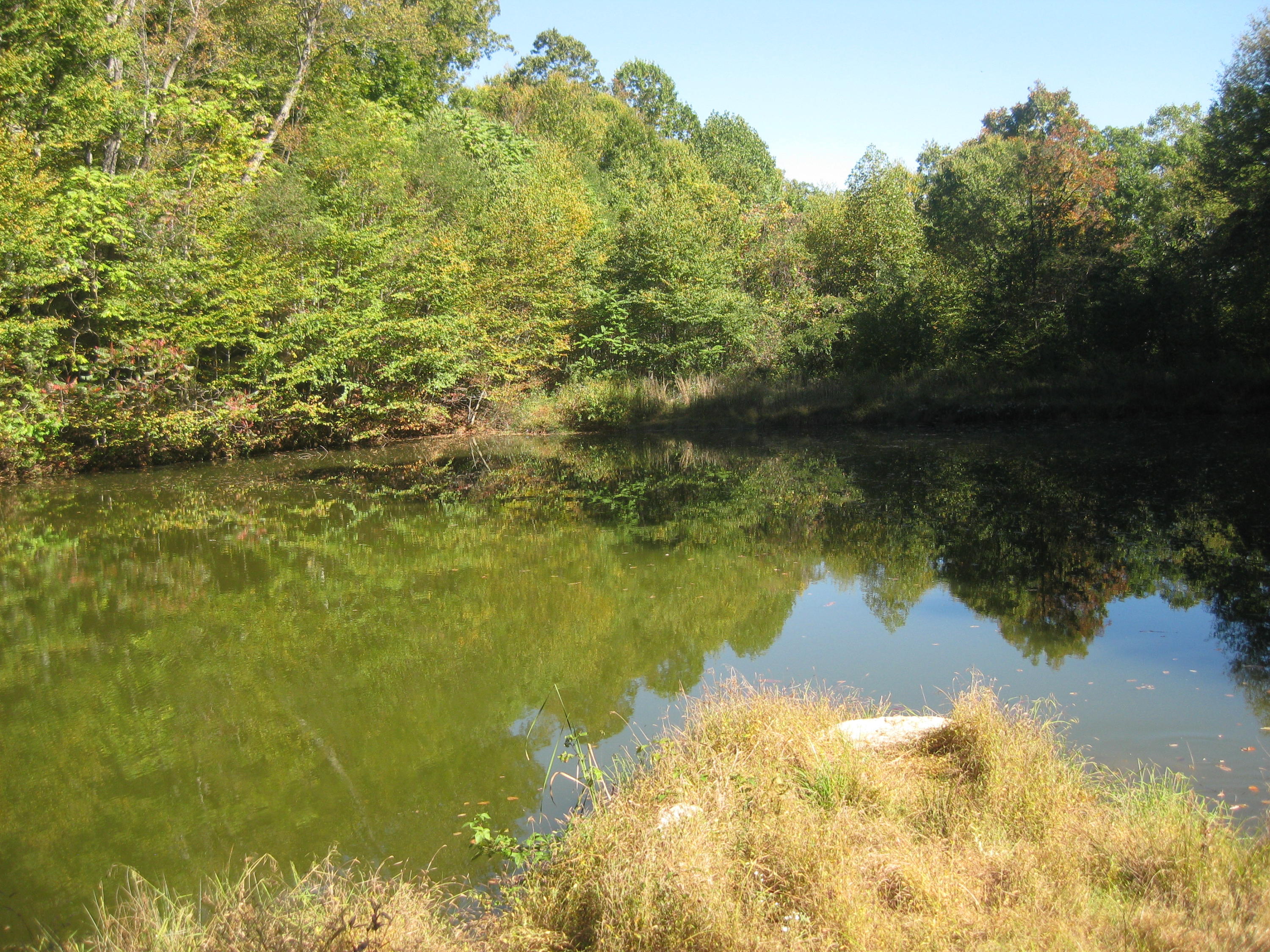 0 Poor Farm Road Southeast Floyd, VA 24091 - Photo 9 of 12 a view of a lake view