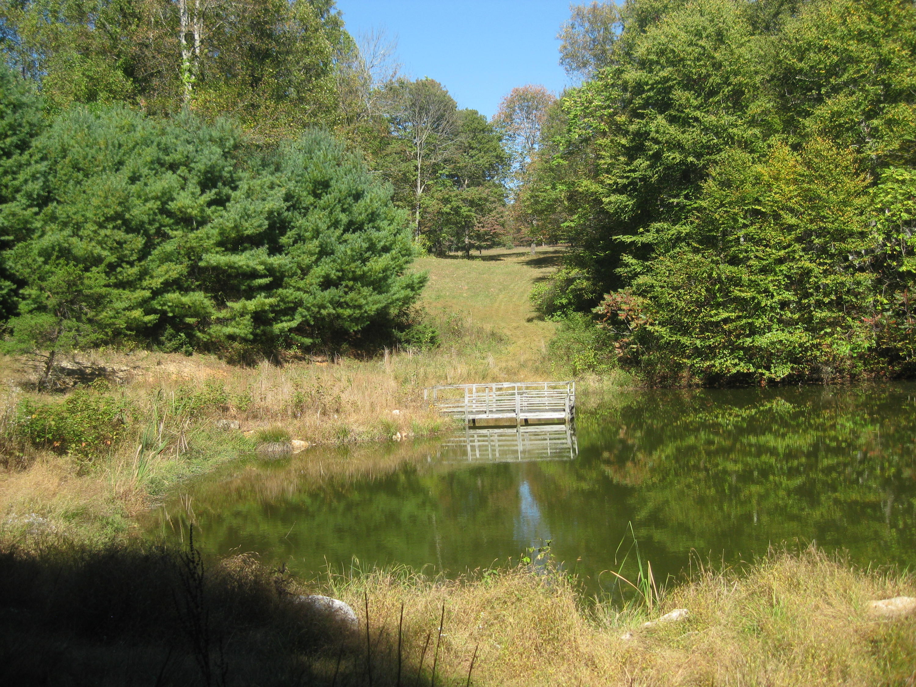 0 Poor Farm Road Southeast Floyd, VA 24091 - Photo 10 of 12