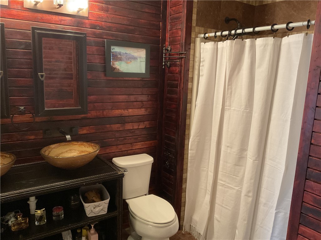 229 Cub Cove Drive Walhalla, SC 29691 - Photo 28 of 50 This bathroom boasts rich wood paneling, a distinctive vessel sink, and a tiled shower area.
