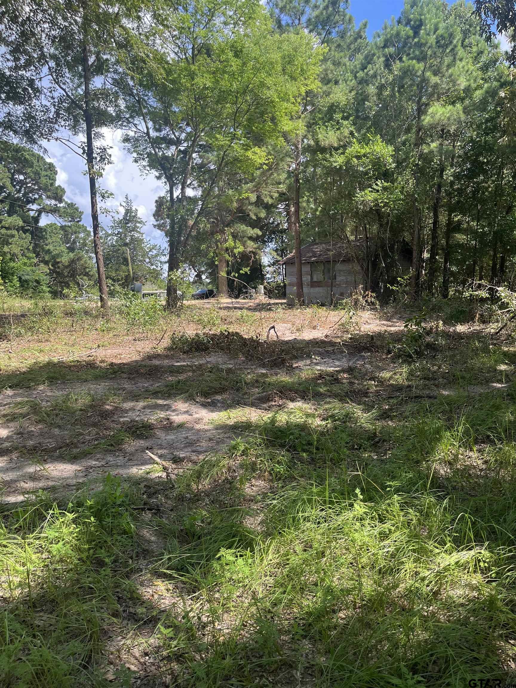 235 County Road 1630 Rusk, TX 75785 - Photo 4 of 4 a view of a yard with large trees