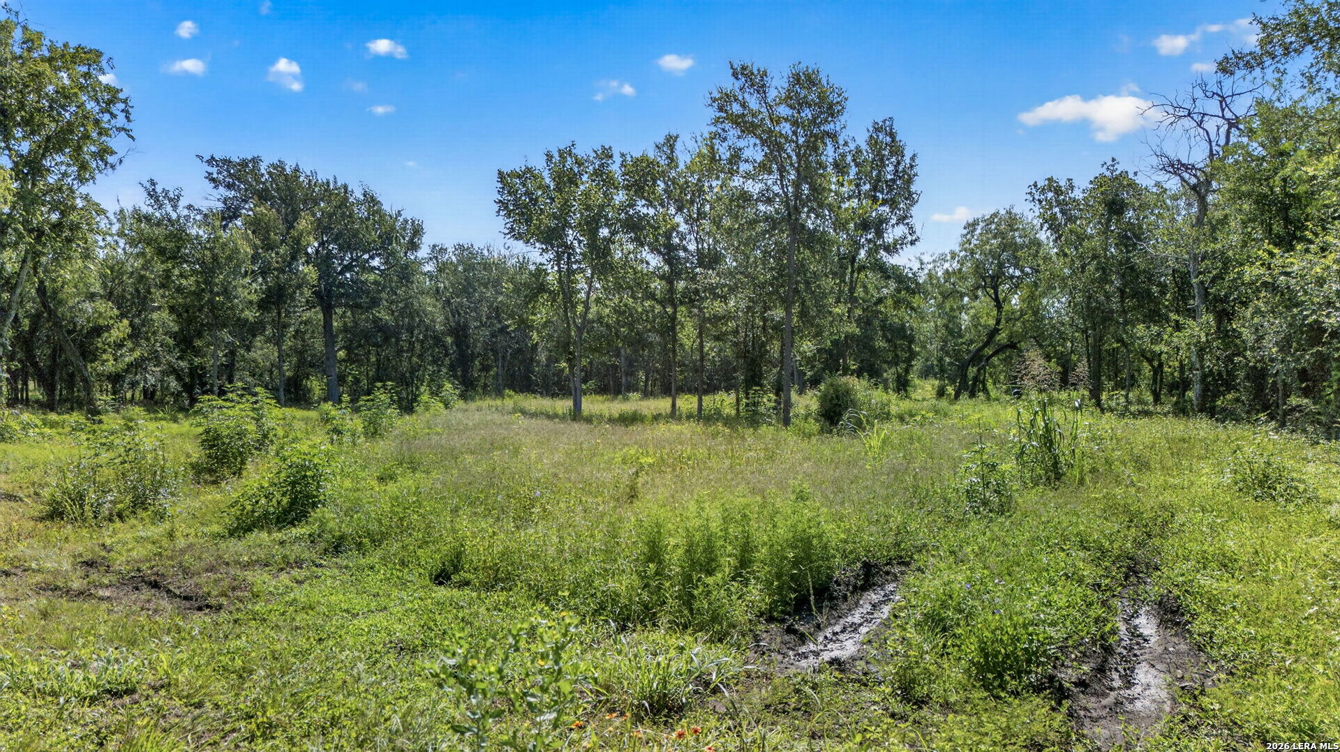 113 Buffalo Gap Seguin, TX 78155 - Photo 26 of 26 a view of outdoor space and green field
