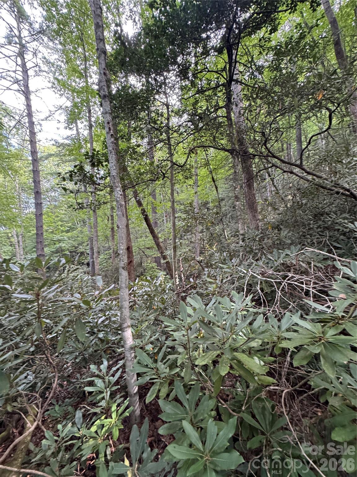 0 Wilson Road Brevard, NC 28712 - Photo 27 of 41 Gallery Image 27