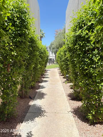 $999 | 302 East Monte Vista Road, Unit D1, Phoenix, AZ 85004