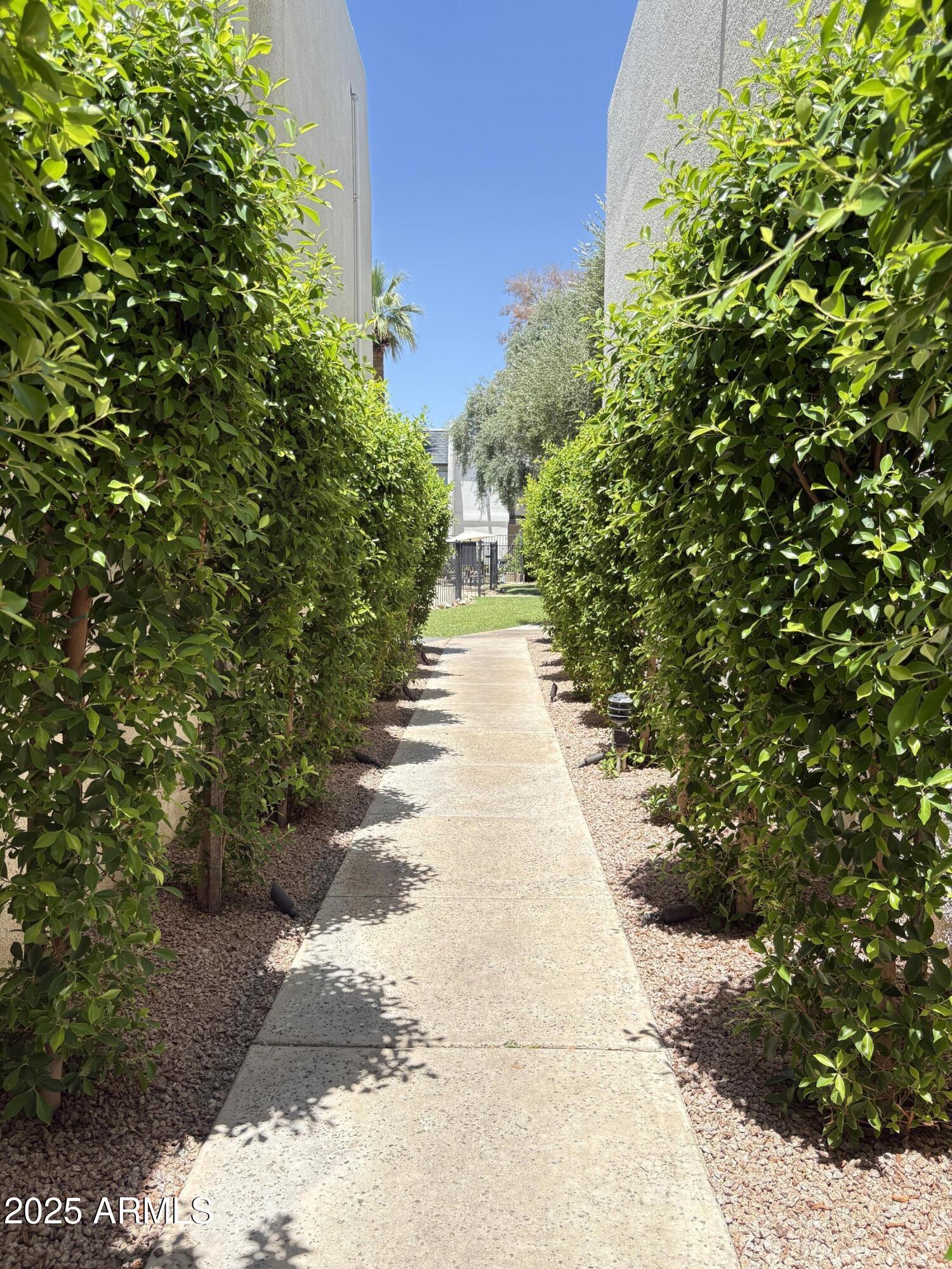 302 East Monte Vista Road, Unit D1 Phoenix, AZ 85004 - Photo 2 of 8 IMG_8105