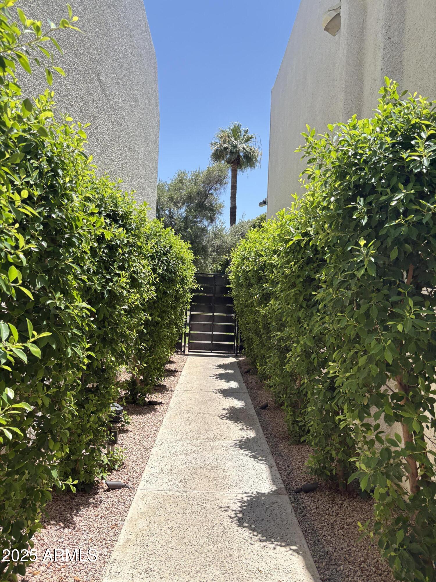 302 East Monte Vista Road, Unit D1 Phoenix, AZ 85004 - Photo 7 of 8 IMG_8122