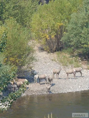 $799,000 | 1874 Highway 93, Salmon, ID 83467