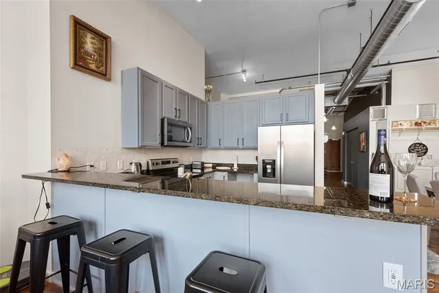 $119,000 | 1520 Washington Avenue, Unit R411, St. Louis, MO 63103