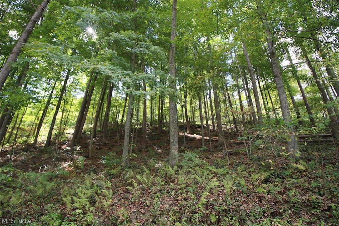 0 Clary Road Londonderry, OH 45647 - Photo 32 of 33