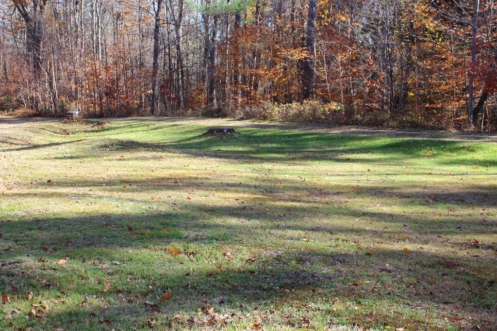 19 Ford Hill Road Rowe, MA 01367 - Photo 4 of 41 a view of a yard with a house